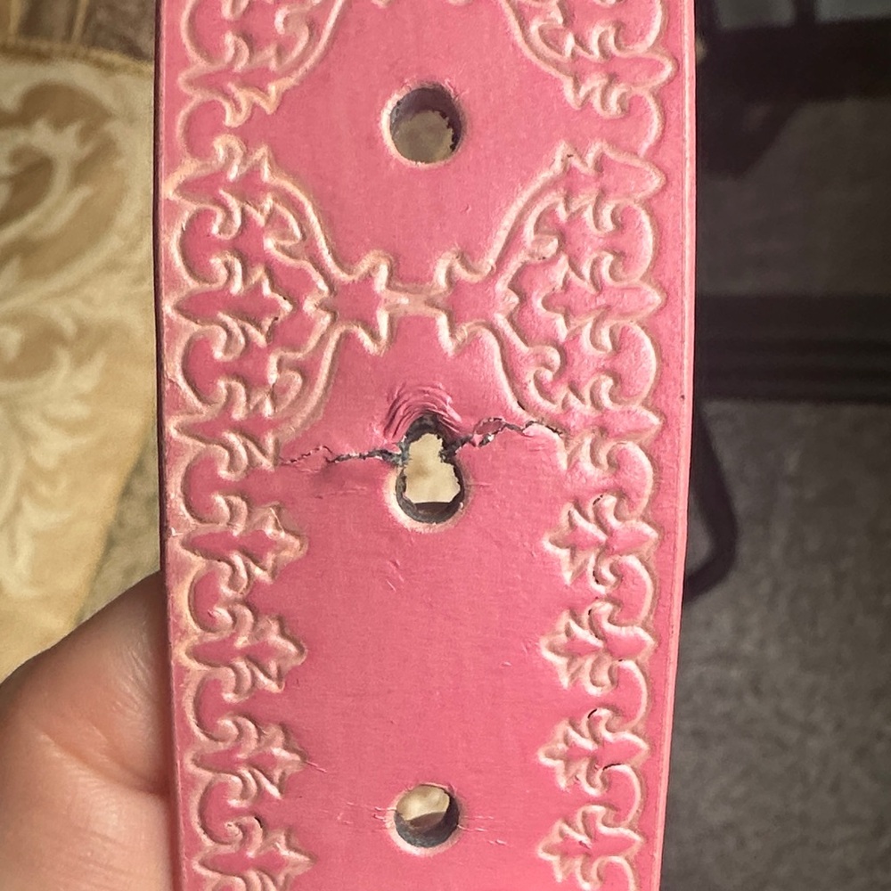 Pink Embellished western Belt with Silver Buckle - Picture 3 of 5